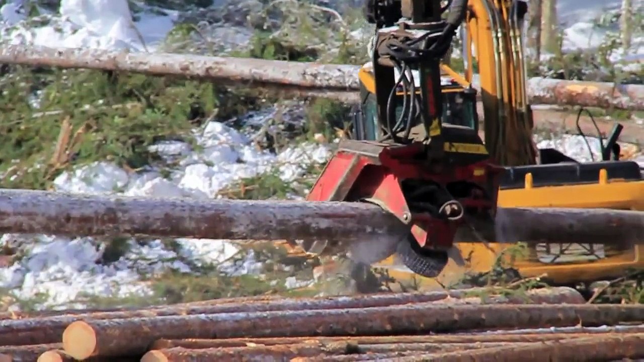 Logging (4 leaf logging)