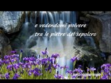 Poesia amorosa - Chiare fresche dolci acque ( Francesco Petrarca)