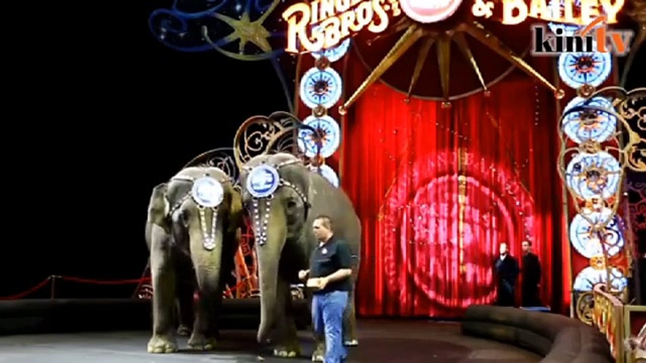 Ringling elephants say goodbye to the circus