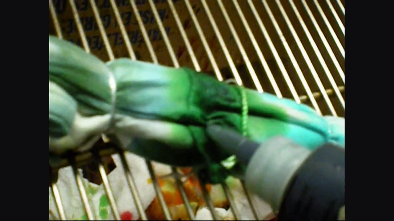 My Tie Dye Didn't Work... CRAP!  Now what?  (Fixing "Bad" Tie-Dyes)