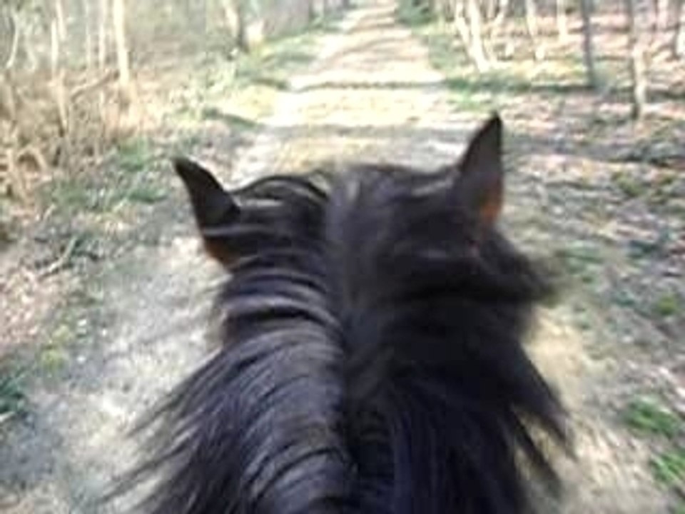 12 avril 2007 AU GALOP