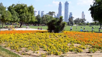 Al safa park,Dubai