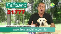 Feliciano Filho 51777 - Deputado Estadual Hospitais Veterinários Públicos  Gratuitos