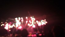 Firework show in Epcot DisneyWorld