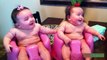 Funny Kids ✪ Twin Babies Laughing So Cute ✪ Best Funny Baby Videos Compilation 2015