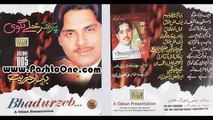 Bahadar Zeb Pashto Album Parhar Khule Lagawi VOL-5 Part-3 Pashto Video Songs