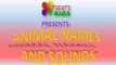 Animal Names and Sounds For Children, Sonidos de Animales y Nombres en Ingles y Español para Niños