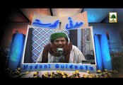 Ramzan Se Muhabbat - Maulana Ilyas Qadri - Madani Muzakra