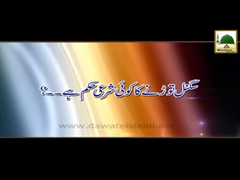 Signal Tornay Ka Koi Sharai Hukam Hai - Maulana Ilyas Qadri - Madani Muzakra