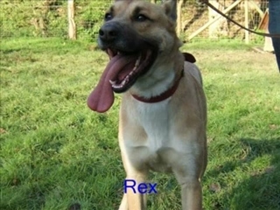 Refuge Clochards poilus