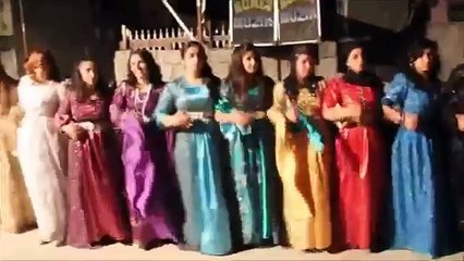 The Kurdish traditional folk Dance