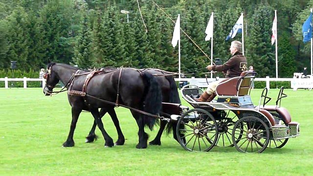 Paard & Plezier 2010: Show Friese Aanspanning