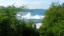 Un iceberg se brise près d'une côte au Canada