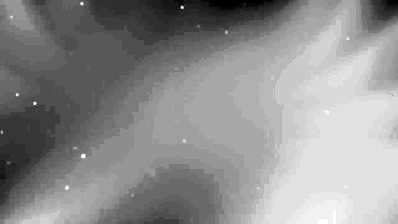 International institute of management and technical studies