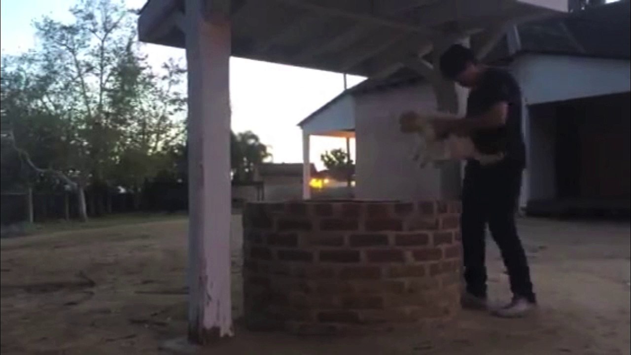Man drops his dog in a Well, gets rid of him!