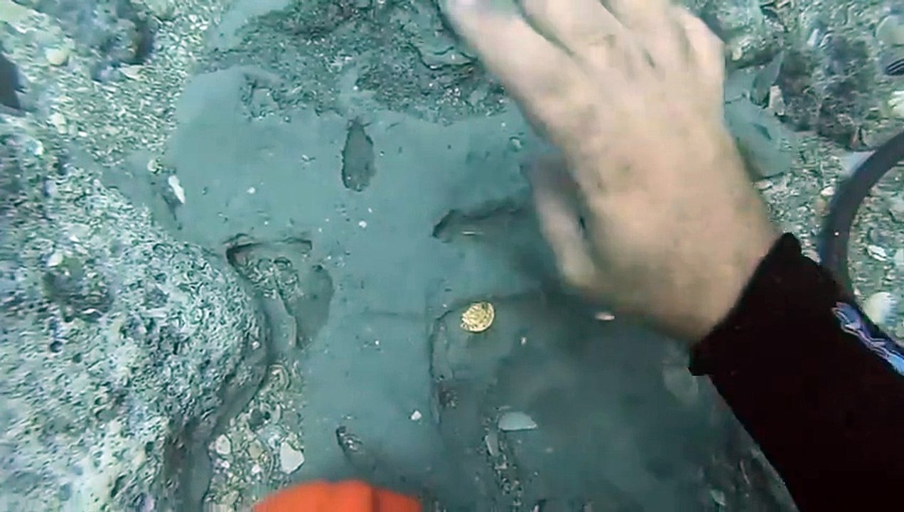 Amazing Videos Latest Discovery World $1M in Fold Off Florida's Coast