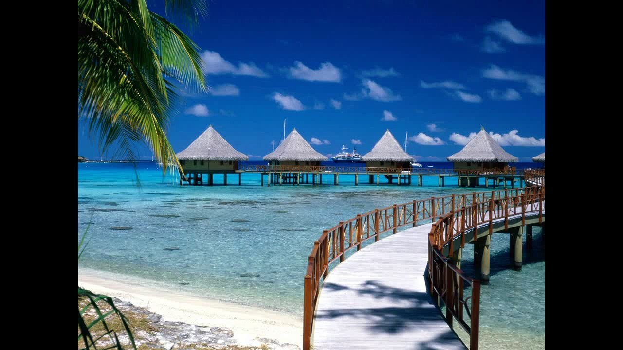 ♪♫♬ Relaxing Classical Music for Studying ♪♫♬ Concentration Sleep  Relaxing Classical Music ♪♫♬