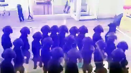 Chiens en mode Rave Party!