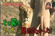 Crazy Japanese Guy plays with Lion during TV Show!