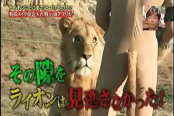 Télécharger la video: Jeu TV japonais très dangereux - Un homme joue avec des lions