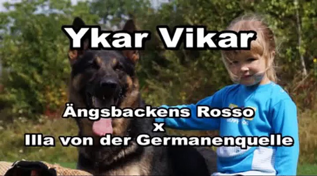 Ykar Vikar - obedience