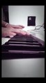 Ellie Goulding - Love me like you do piano cover