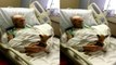 Heart-Melting Moment Stricken Patient Makes Shock Recovery After Being Reunited With Pet Dog
