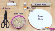 How to make a Bird feeder at Home | Easy DIY Spring Room Decor | Bird Feeder Tutorial