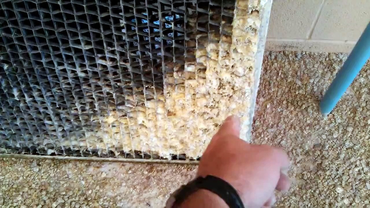 Quick louver cleaning on Evapco Cooling Tower