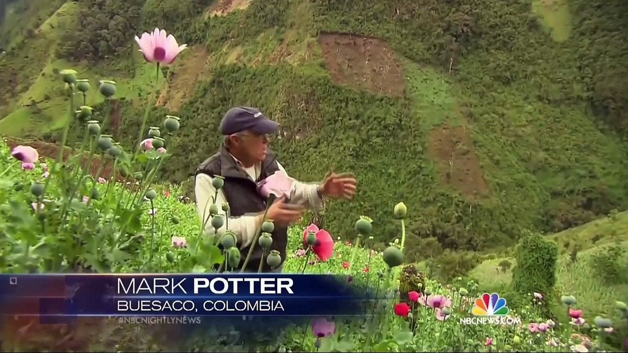 See Where Heroin Begins: Columbia | NBC News