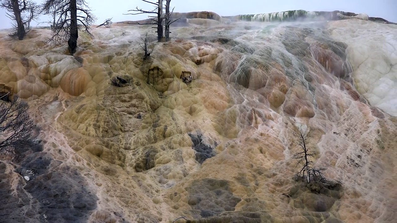 Mammoth Hot Springs, Yellowstone National Park, USA in 4K (Ultra HD)