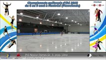 Pré-Novice Dames Gr. 4 prog. court-  Échauffement 5 (REPLAY) (2015-08-07 14:42:42 - 2015-08-08 00:53:17)