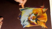 Speed Painting - Drawing a Cat with Colored Pencils - Time Lapse