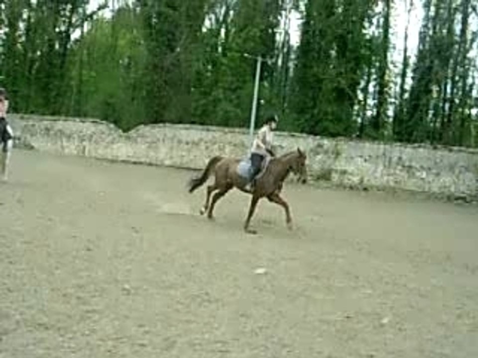 DSCN6603