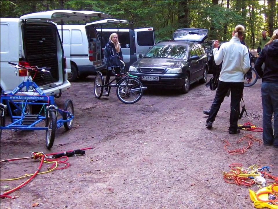 Dansk Polar Hundetræf 2011