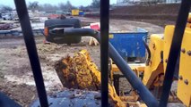 JCB 535-125 emptying Brickies tubs time lapse