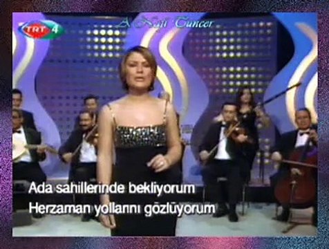 Belgin EROL GÜNDOĞDU *Ada Sâhillerinde Bekliyorum*