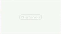 Nintendo/NAMCO Bandai Games/Namco (2013)
