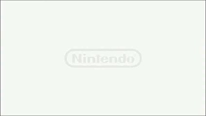 Nintendo/NAMCO Bandai Games/Namco (2013)