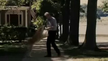 Hačikó - příběh psa (2009, Trailer/upoutávka EN + CZ tit.)