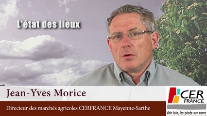 Volailles, les éléments de reconquête par Jean-Yves MORICE