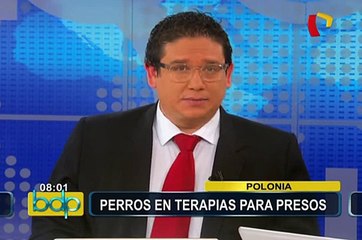 Polonia: autoridades usan perros para terapia de presos