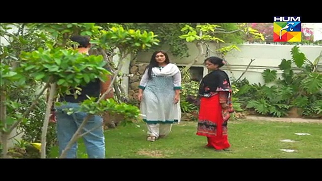 Akeli Episode 14 Full on Hum Tv