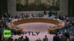 USA: UN Security Council talks North Korea human rights