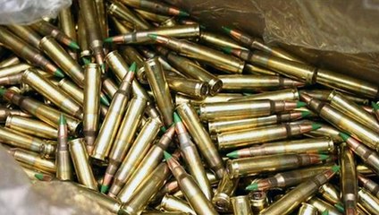 Ammunition and Firearms Protection Act_ LEARN ABOUT IT! (720p)