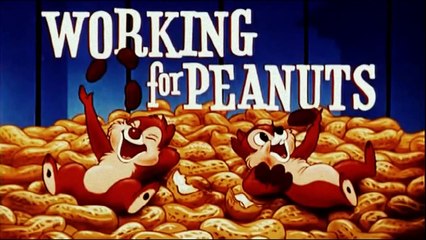 Chip And Dale cartoon dibujos animados