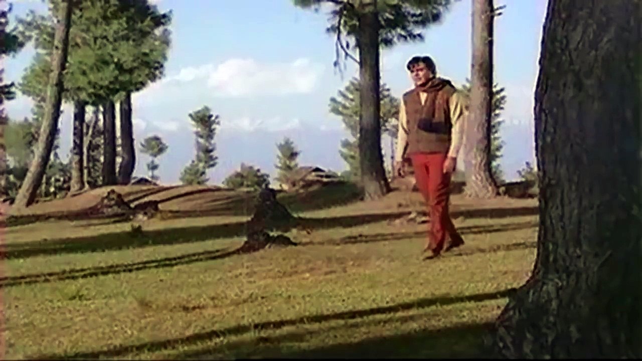 Mujhe Teri Mohabbat Ka Sahara-Lata Mangeshkar,Mohd Rafi [Digital Enhanced Sound]