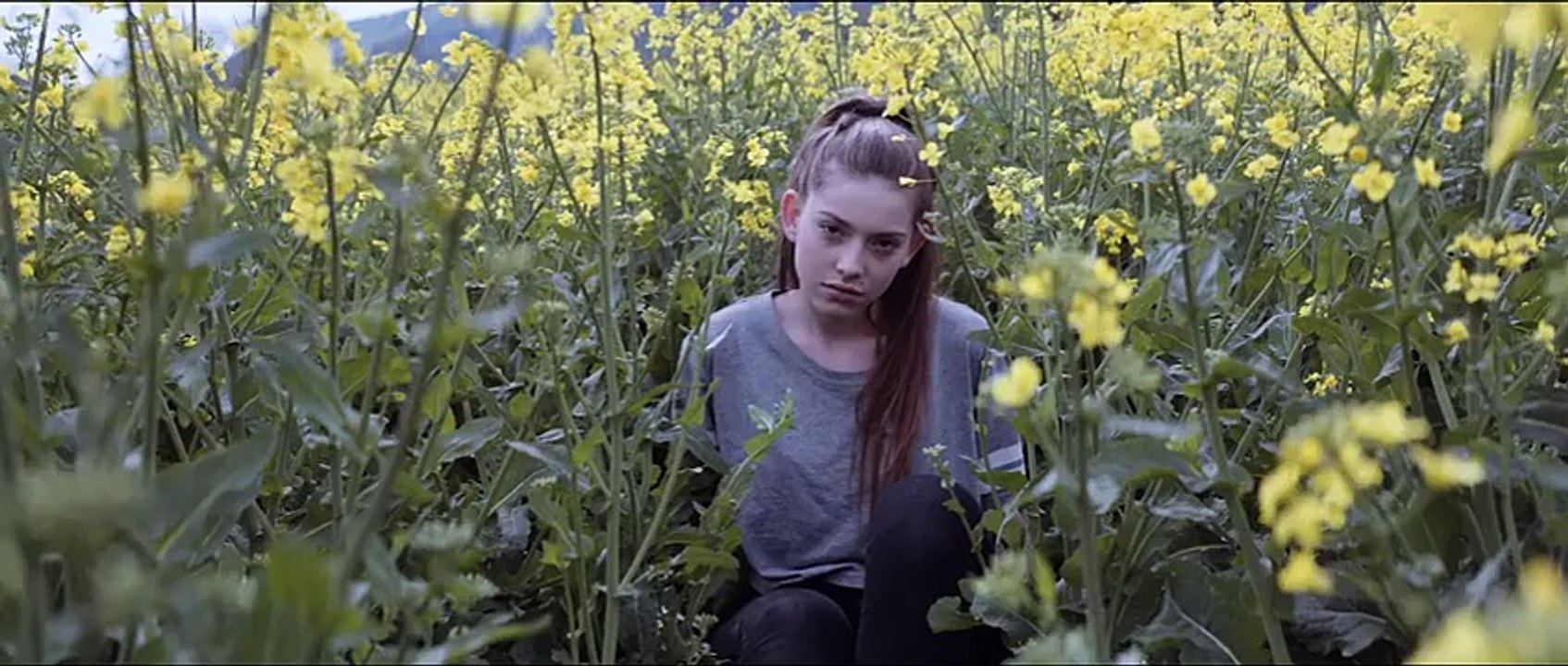Zedd - Vevo News  True Colors