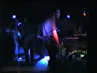 swans copenhargen 1995 1