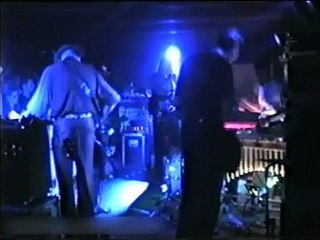 swans copenhargen 1995 2